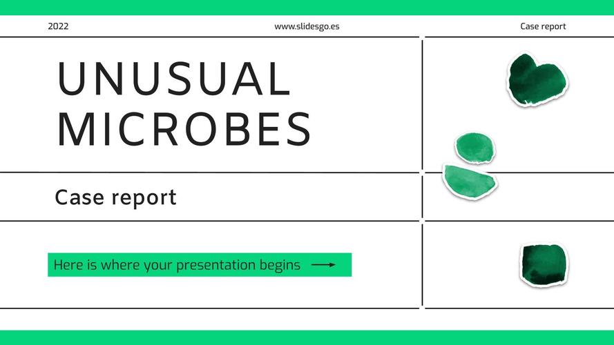 slidehunter官网ppt模板下载