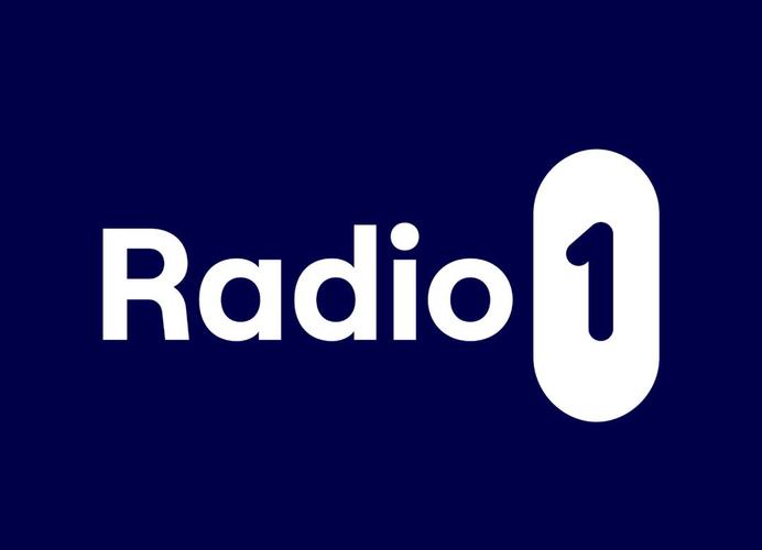 网页设计中radio是什么意思