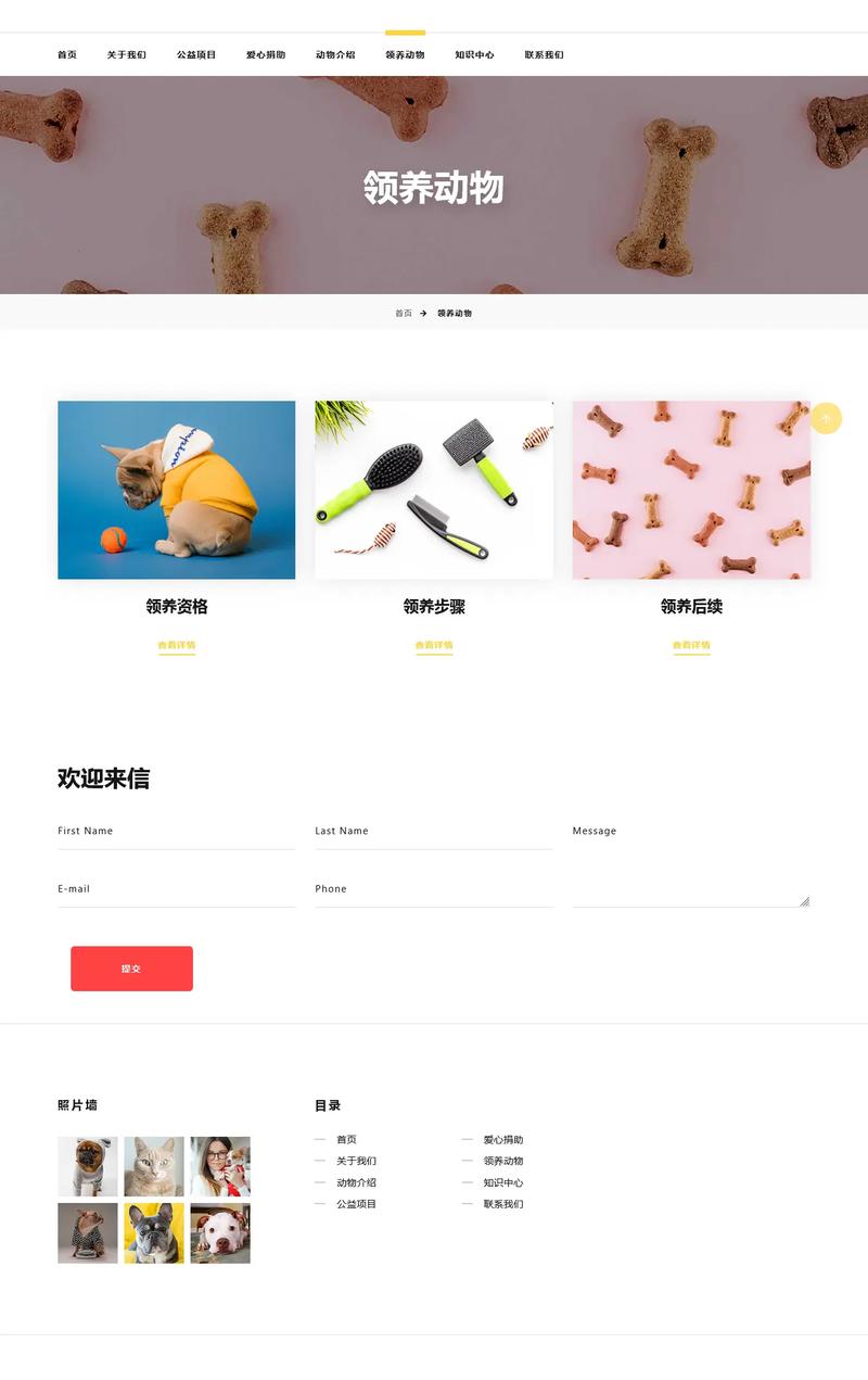 用html设计一个网页代码