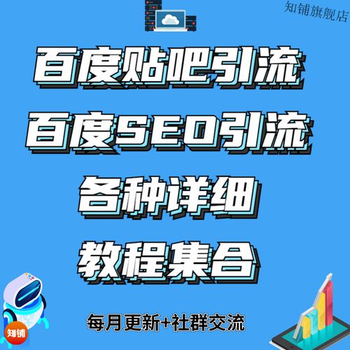 seo网络优化视频教程