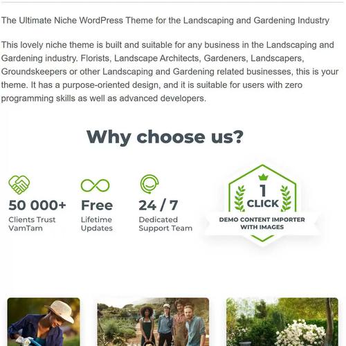 wordpress 文章模板