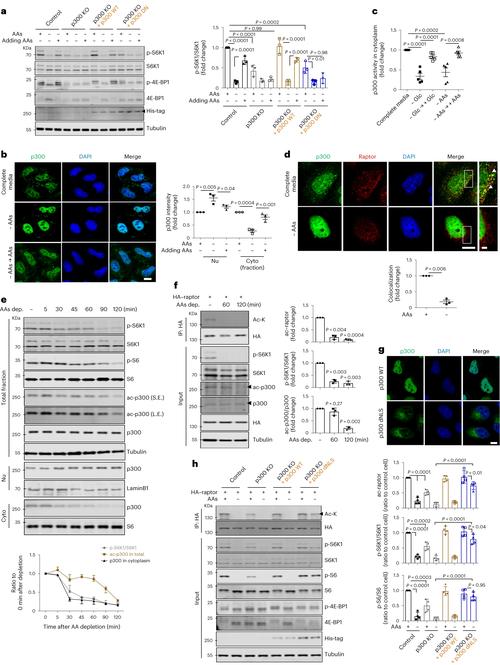 magento邮件模板变量