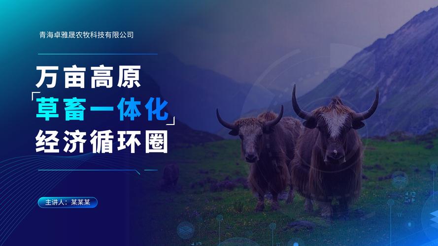 ectouch免费模板下载