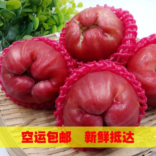 ectouch手机模板